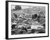 Litter of Woodstock Music Festival-null-Framed Photographic Print