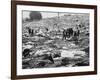 Litter of Woodstock Music Festival-null-Framed Photographic Print