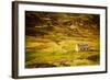 Little Abandoned Stone House in a Middle of a Mountain in the Cairngorms, Scotland, Uk.-pink candy-Framed Photographic Print