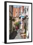 Little Alleys in the Old Schnoor Quarter, Bremen, Germany, Europe-Michael Runkel-Framed Photographic Print