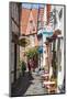 Little Alleys in the Old Schnoor Quarter, Bremen, Germany, Europe-Michael Runkel-Mounted Photographic Print