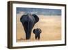 Little and Large, elephant calf and mother, Hwange National Park, Zimbabwe, Africa-Karen Deakin-Framed Photographic Print