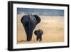 Little and Large, elephant calf and mother, Hwange National Park, Zimbabwe, Africa-Karen Deakin-Framed Photographic Print