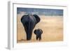 Little and Large, elephant calf and mother, Hwange National Park, Zimbabwe, Africa-Karen Deakin-Framed Photographic Print