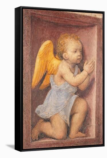 Little angel worshipping-Bernardino Luini-Framed Stretched Canvas