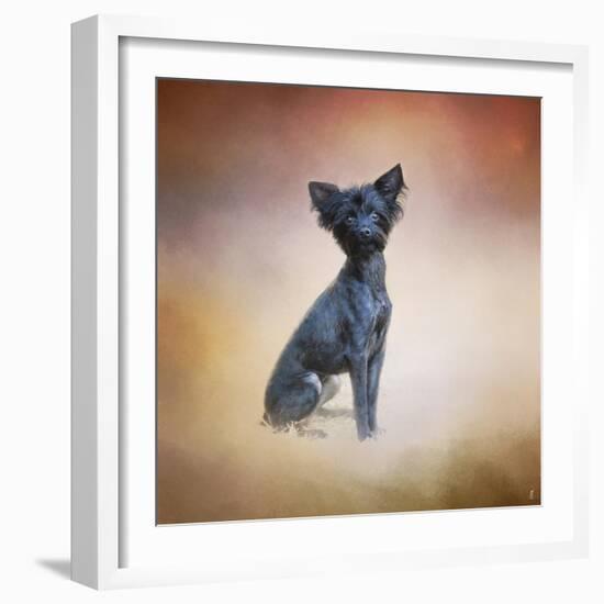 Little Angel Yorkie Poo-Jai Johnson-Framed Giclee Print