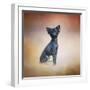 Little Angel Yorkie Poo-Jai Johnson-Framed Giclee Print