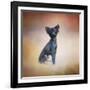 Little Angel Yorkie Poo-Jai Johnson-Framed Giclee Print