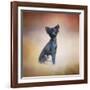 Little Angel Yorkie Poo-Jai Johnson-Framed Giclee Print