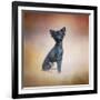 Little Angel Yorkie Poo-Jai Johnson-Framed Giclee Print