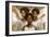 Little Angels No. 8-Marta Wiley-Framed Art Print