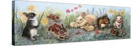 Little Animals Border-Judy Mastrangelo-Stretched Canvas