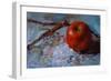 Little Apple-Pam Ingalls-Framed Giclee Print