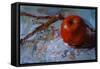 Little Apple-Pam Ingalls-Framed Stretched Canvas