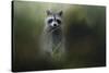 Little Bandit-Jai Johnson-Stretched Canvas