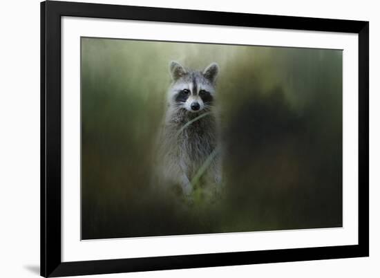 Little Bandit-Jai Johnson-Framed Giclee Print