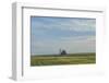 Little barn in the middle of a wheat field.-Michael Scheufler-Framed Photographic Print