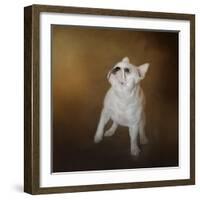 Little Beggar French Bulldog-Jai Johnson-Framed Giclee Print