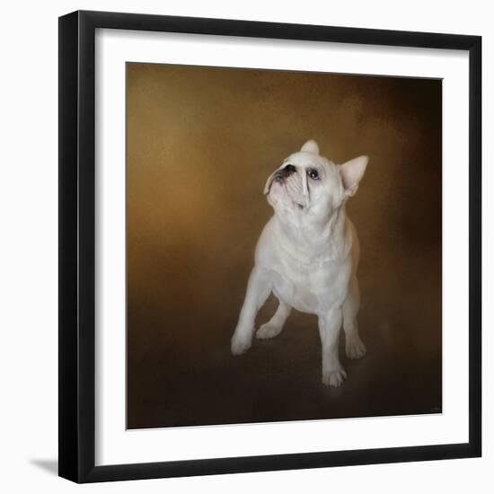 Little Beggar French Bulldog-Jai Johnson-Framed Giclee Print