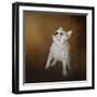 Little Beggar French Bulldog-Jai Johnson-Framed Giclee Print