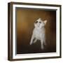 Little Beggar French Bulldog-Jai Johnson-Framed Premium Giclee Print