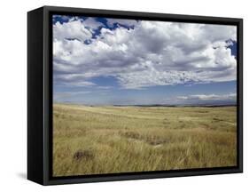 Little Big Horn Battlefield National Monument, Montana, Usa-Luc Novovitch-Framed Stretched Canvas