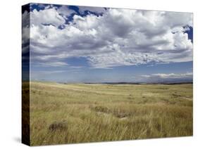 Little Big Horn Battlefield National Monument, Montana, Usa-Luc Novovitch-Stretched Canvas