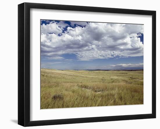 Little Big Horn Battlefield National Monument, Montana, Usa-Luc Novovitch-Framed Photographic Print