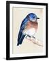 Little Bird on Branch I-Jennifer Paxton Parker-Framed Art Print