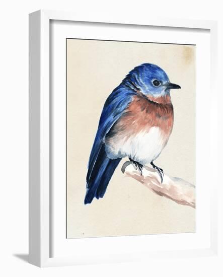 Little Bird on Branch I-Jennifer Paxton Parker-Framed Art Print