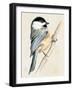 Little Bird on Branch II-Jennifer Paxton Parker-Framed Art Print