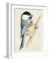 Little Bird on Branch II-Jennifer Paxton Parker-Framed Art Print