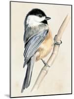 Little Bird on Branch II-Jennifer Paxton Parker-Mounted Art Print