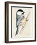 Little Bird on Branch II-Jennifer Paxton Parker-Framed Art Print