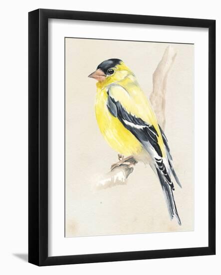 Little Bird on Branch III-Jennifer Paxton Parker-Framed Art Print