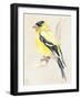Little Bird on Branch III-Jennifer Paxton Parker-Framed Art Print