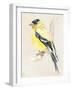 Little Bird on Branch III-Jennifer Paxton Parker-Framed Art Print