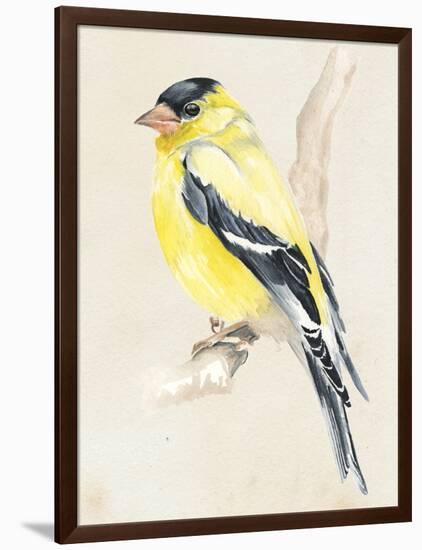 Little Bird on Branch III-Jennifer Paxton Parker-Framed Art Print