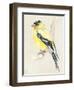 Little Bird on Branch III-Jennifer Paxton Parker-Framed Art Print