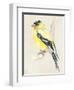 Little Bird on Branch III-Jennifer Paxton Parker-Framed Art Print