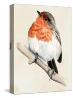 Little Bird on Branch IV-Jennifer Paxton Parker-Stretched Canvas