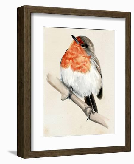 Little Bird on Branch IV-Jennifer Paxton Parker-Framed Art Print