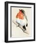 Little Bird on Branch IV-Jennifer Paxton Parker-Framed Art Print