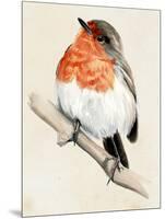 Little Bird on Branch IV-Jennifer Paxton Parker-Mounted Art Print