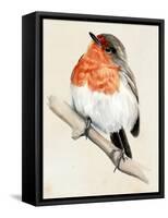 Little Bird on Branch IV-Jennifer Paxton Parker-Framed Stretched Canvas