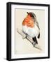 Little Bird on Branch IV-Jennifer Paxton Parker-Framed Art Print