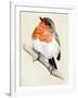 Little Bird on Branch IV-Jennifer Paxton Parker-Framed Art Print