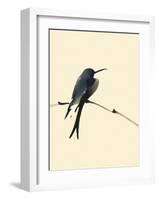 Little Bird-Aurore De La Morinrie-Framed Art Print