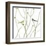 Little Bird-Erin Clark-Framed Art Print