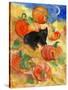 Little Black Cat in Pumpkin Patch-sylvia pimental-Stretched Canvas